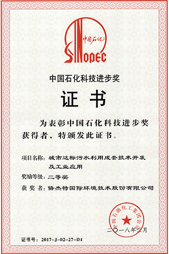 中国石化科技进步奖证书--Stake